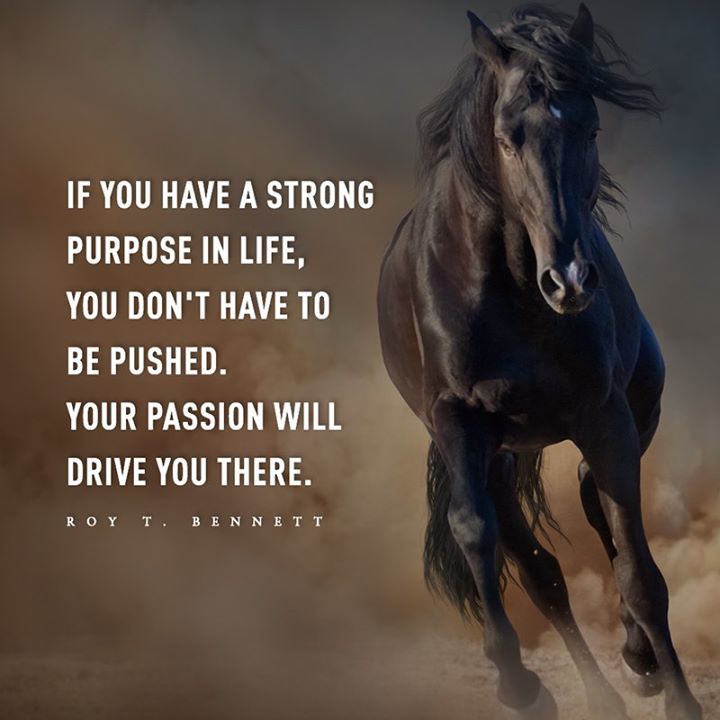 Phil_Runners's tweet photo. If you have a strong purpose in life, you don't have to be pushed. Your passion will drive you there. | #quote #coach #mentor #inspire https://t.co/KAMQ83coi7