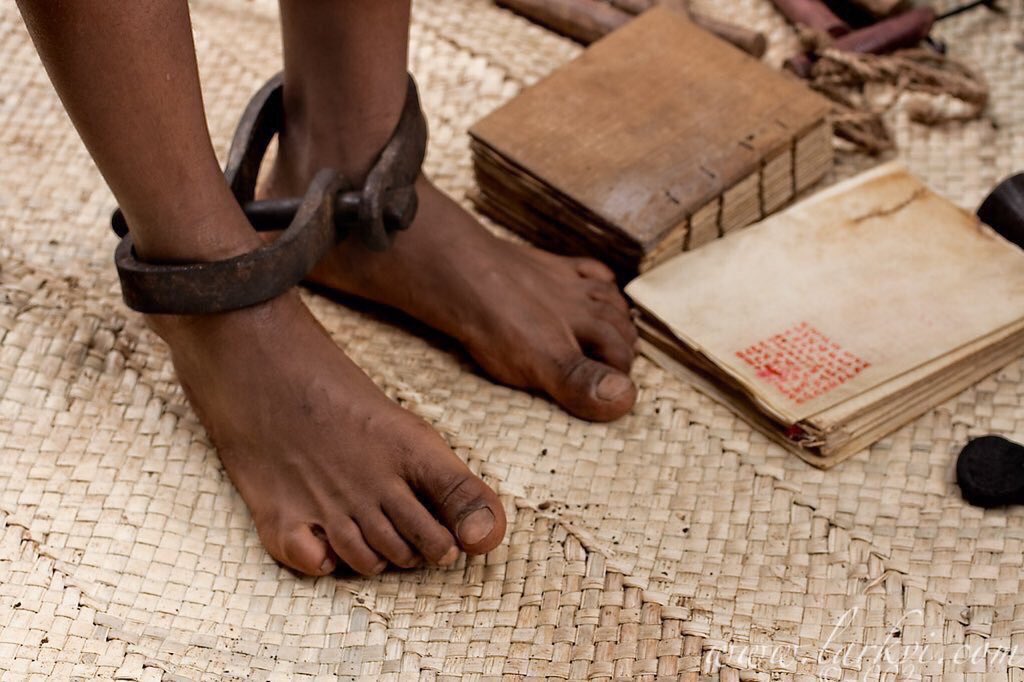 Mzilikazi wa Afrika tweet media