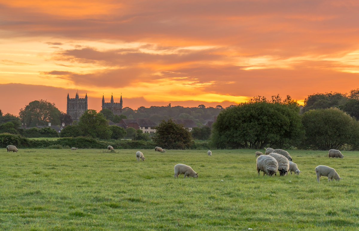 steven hogan (@steve_hogan_) on Twitter photo Happy Friday everyone I hope you also have a great weekend #FridayMotivation #FridayMorning #FridayFeeling #friday #FridayThoughts #FridayLove <a href="/StormHour/">#StormHour</a> #weekend #weekendvibes #weekendfun #wimbourne Happy Friday everyone I hope you also have a great weekend #FridayMotivation #FridayMorning #FridayFeeling #friday #FridayThoughts #FridayLove <a href="/StormHour/">#StormHour</a> #weekend #weekendvibes #weekendfun #wimbourne