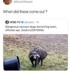 MixtapesMemes's tweet photo. Can y’all stop wishing for new animals 😩 https://t.co/Fd948wEXAb