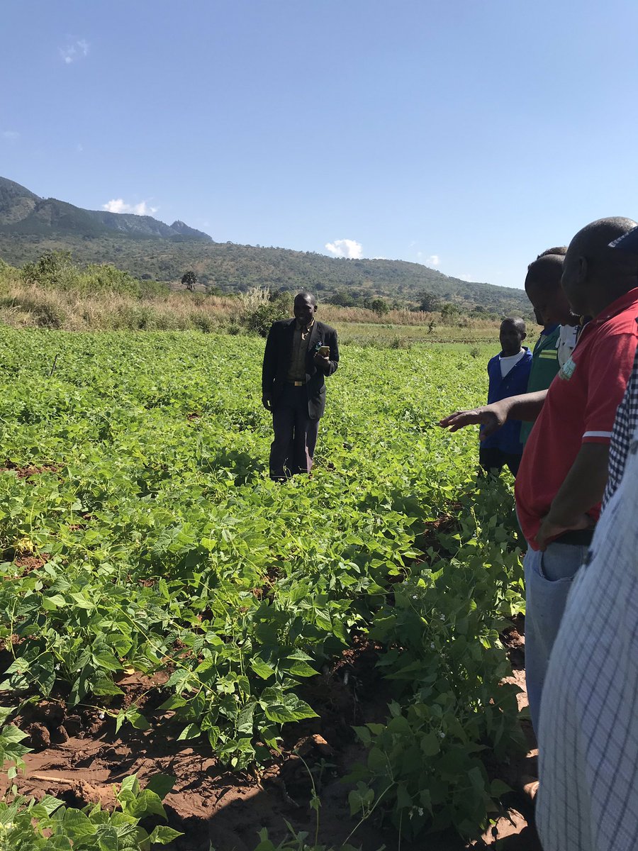 BeiraGrowth's tweet photo. The #inputspartnership and @BeiraGrowth convened in Chimoio this week to assess recent cyclone Idai damage. Despite substantial disruption to irrigation systems farmers are resilient and are redirecting water through makeshift equipment to irrigate their crops. https://t.co/JpLC4yiYFY
