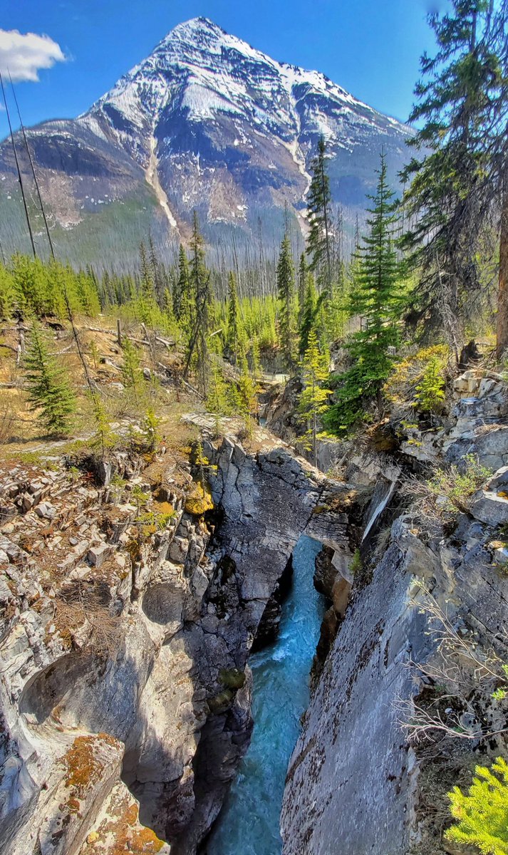 EarthAntidote's tweet photo. 📍Marble Canyon, USA https://t.co/NSG5baPxfp
