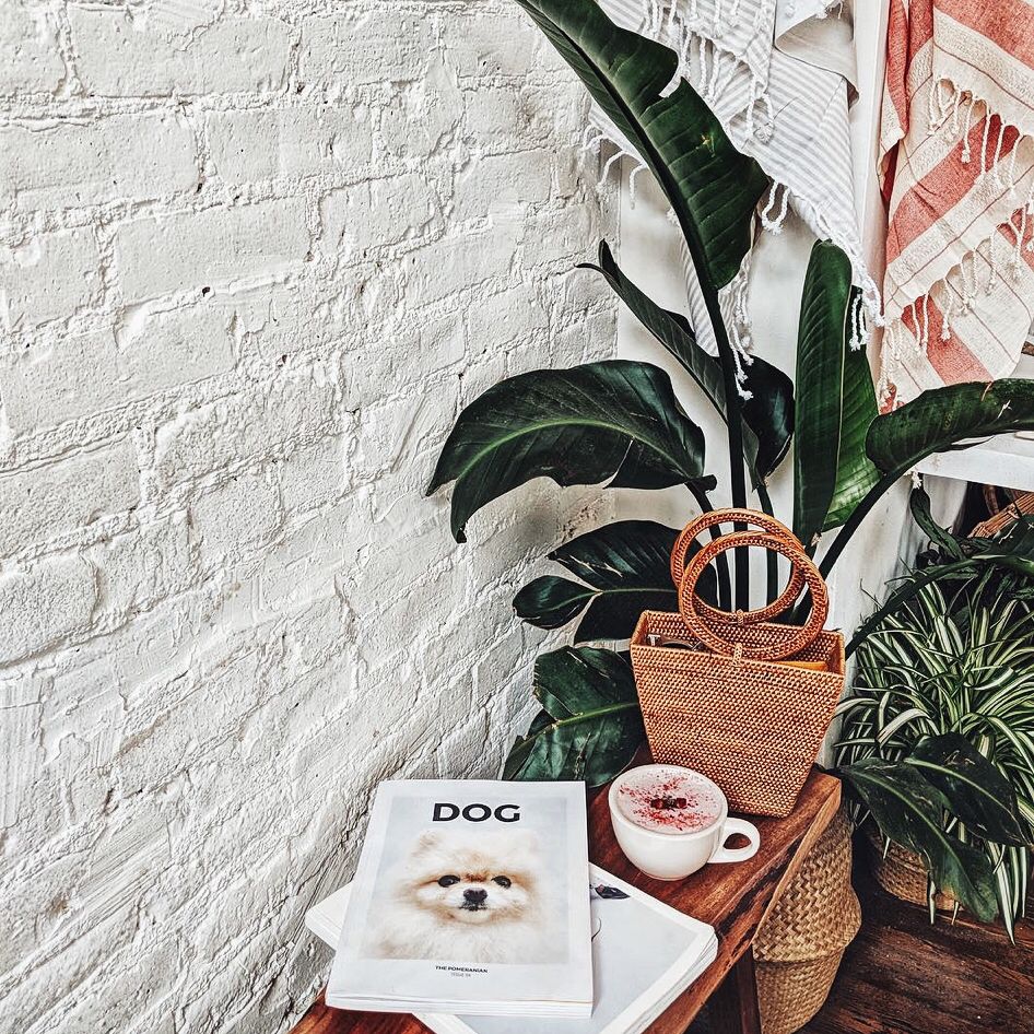 junnipets's tweet photo. Começar uma manhã que parece verão? Só com iced cappuccino, plantas e a DOG 🌱☀️
.
.
〰️ Dog Magazine, issue 4
Link na bio 🐾
.
📸@andreannu
.
#manhas #summervibes #revistadog #luludapomerania #mornings #plantlove #beautifulplaces #pomeranian #plantvibes #naturelife https://t.co/qBbOzEdofy