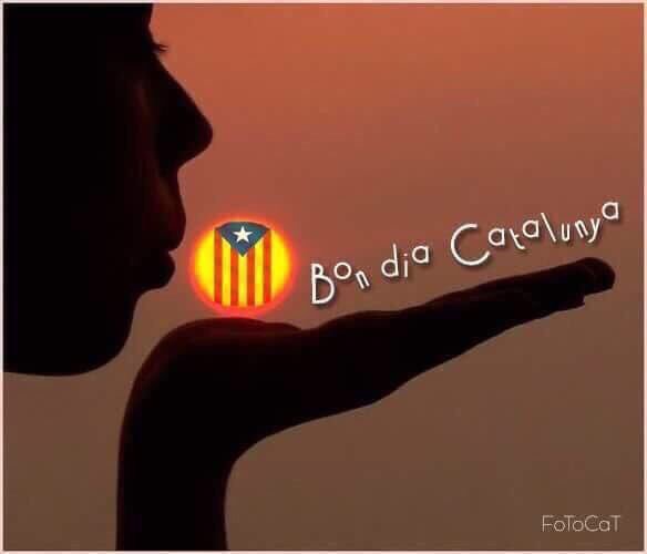 MCarol37's tweet photo. @laxarxaxanante1 @n_balleste @Lanesttosa @Terminaitor55 Molt bon dia amics Xarxers!❤💛💜💪
Fet 1 de nou 🤗
#FemXarxa
#FemLaRepúblicaCatalana
#NoSurrenderCat
#JudiciALaDemocràcia
#judiciFarsa
#JoAcuso
#LlibertatPresosPoliticsiExiliats https://t.co/UzWLmi78I2