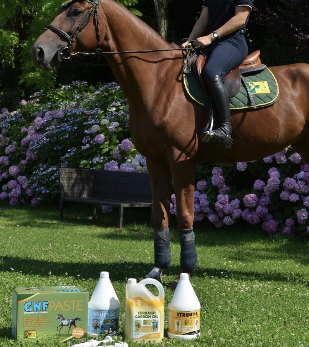 TRM - an equine supplement brand that is trusted &amp; used by horse people worldwide. 

🌏 ✅ 🐎  

trm-ireland.com

#EquineSupplements #Equinehealth #TRMNutrition
