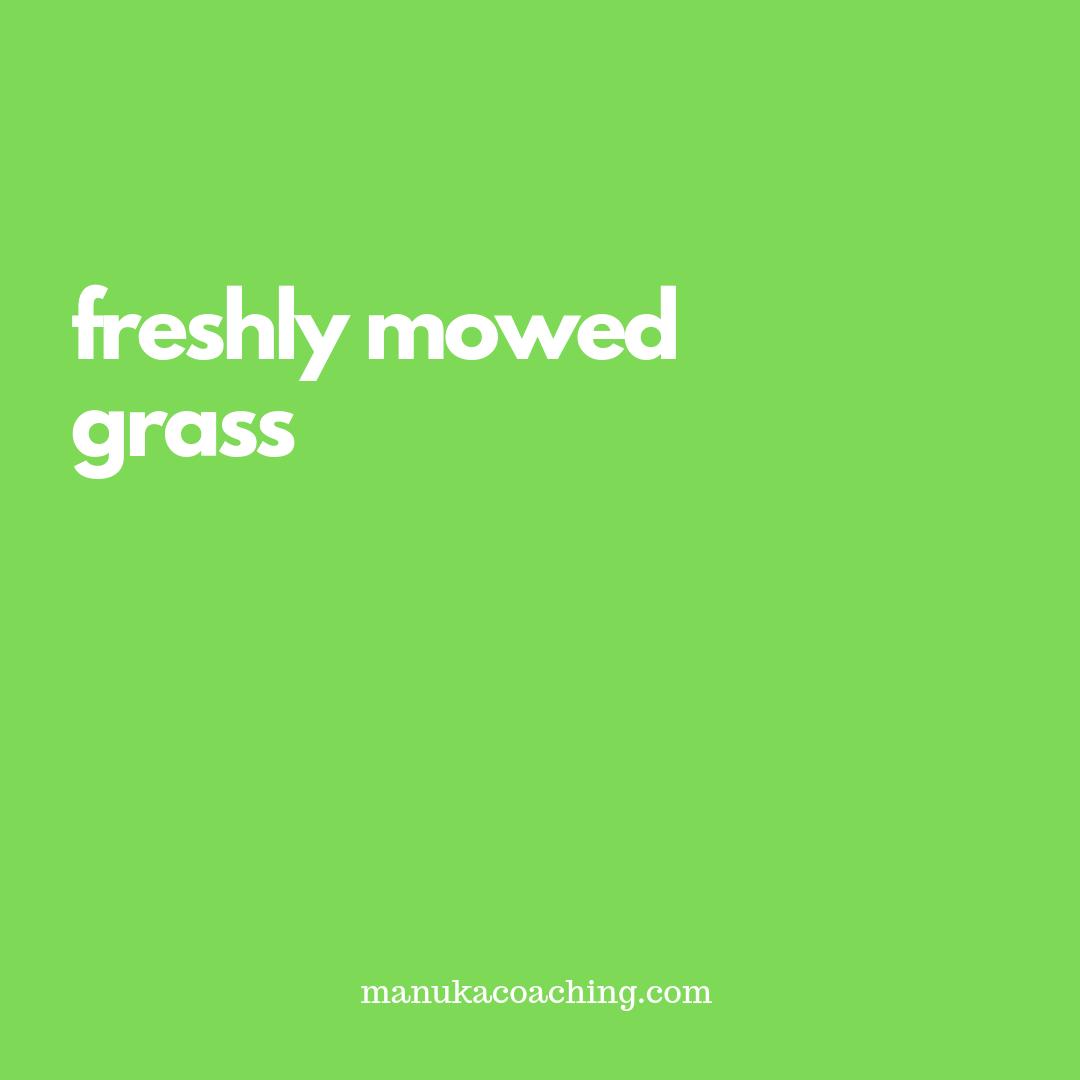 manukacoaching's tweet image. Isn&apos;t it amazing how smells affect you? Going through chemotherapy can feel like a lifetime and I found myself really sensitive to smells - both good and bad! I love the smell of freshly mowed grass, always puts me in a better mood   #manukacoaching #workingwithcancer