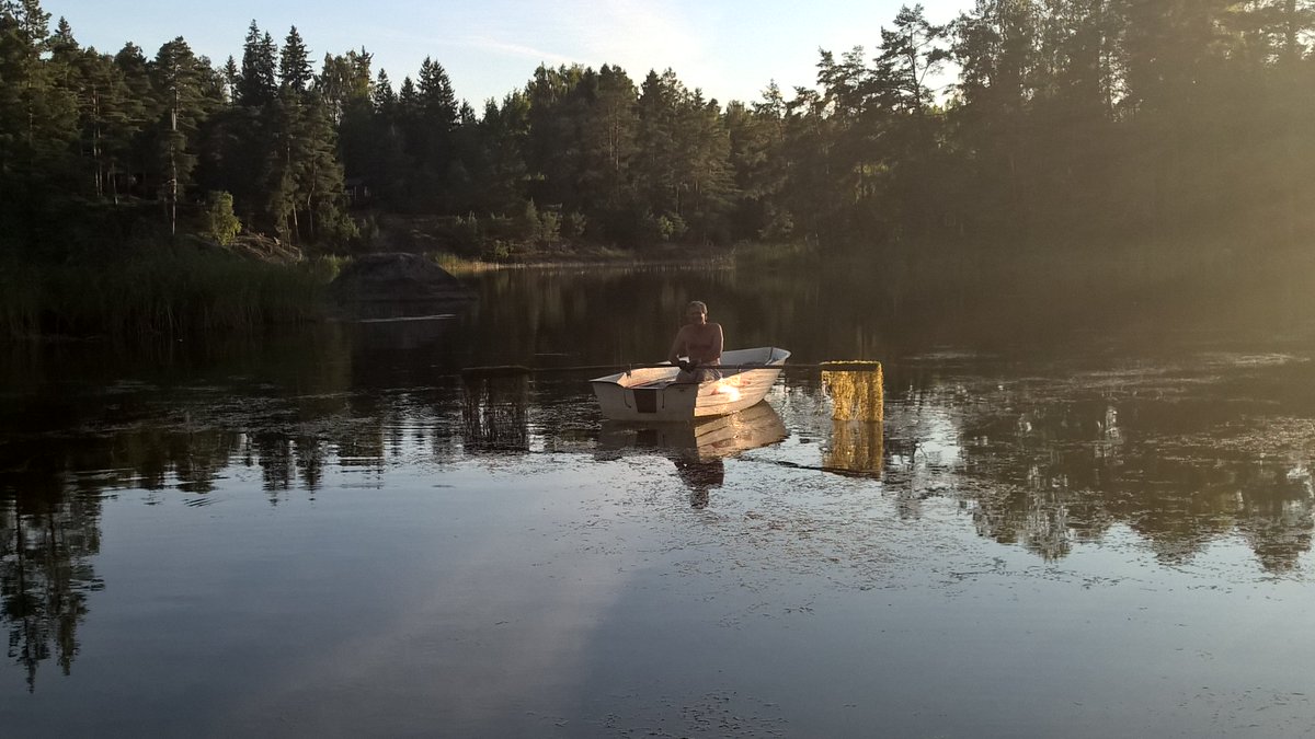 jnurmisensaatio's tweet photo. NUTRIBUTESSA: Sipoon Siverlahden rehevöitymisen estäminen
Yhden ruovikkohehtaarin leikkuulla voidaan poistaa fosforia 5−10 kg ja typpeä 50−100 kg. Järviruo’on lisäksi poistetaan pohjakasveja. Tämä kohentaa myös linnuston ja kalaston elinolosuhteita. Lue!
https://t.co/U0e8xPh0P3 https://t.co/oqr3OSeDEY