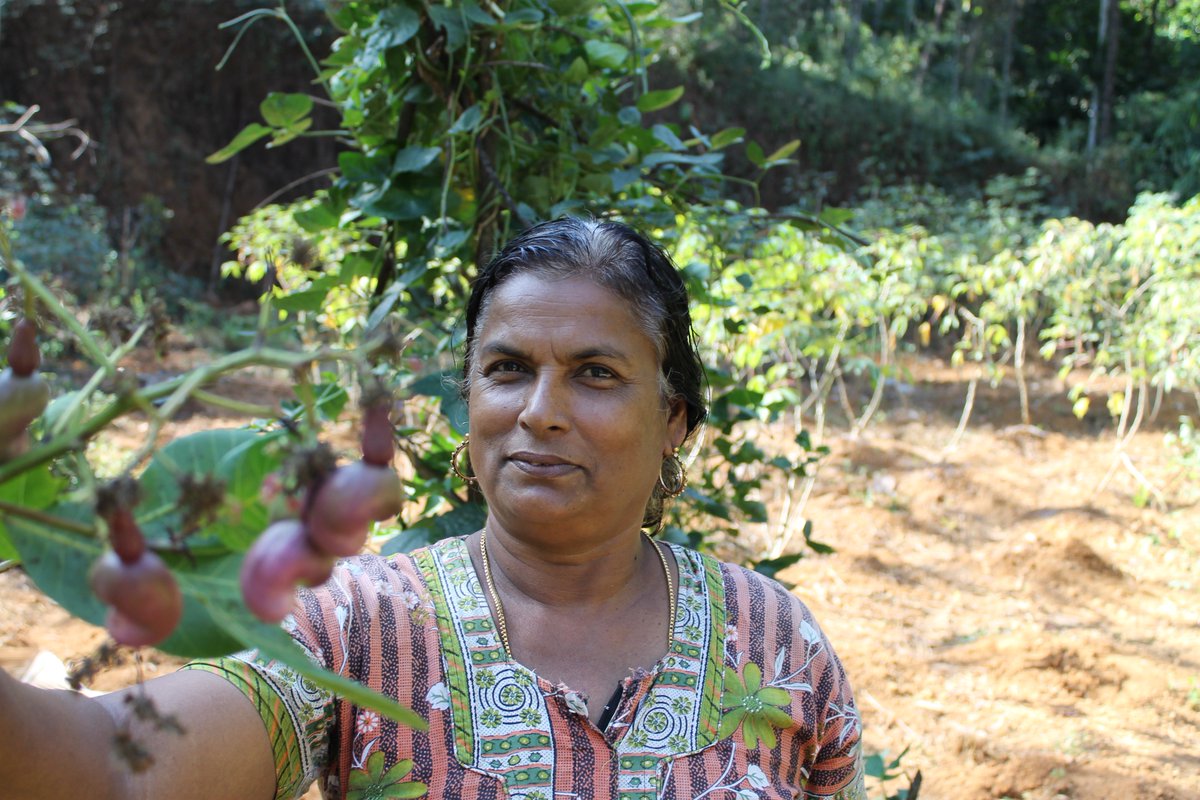 Meet the People tweet media