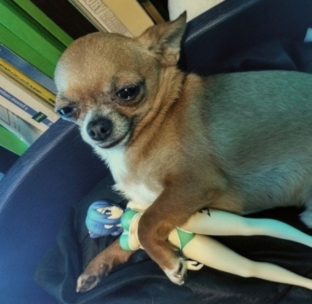 cursed_thought's tweet image. 🤔