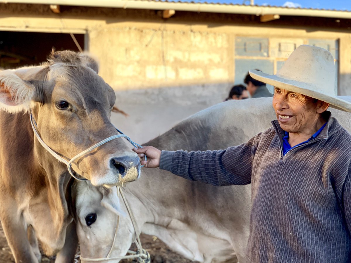 rjcarnelljones's tweet photo. After reading about the social projects @Glencore supports in Peru, yesterday I met the people directly benefitting from them. From helping create thriving dairy &amp; textile industries, to education centres for children &amp; adults. It was a privilege to have a glimpse of their lives. https://t.co/0GuXWNsNpH