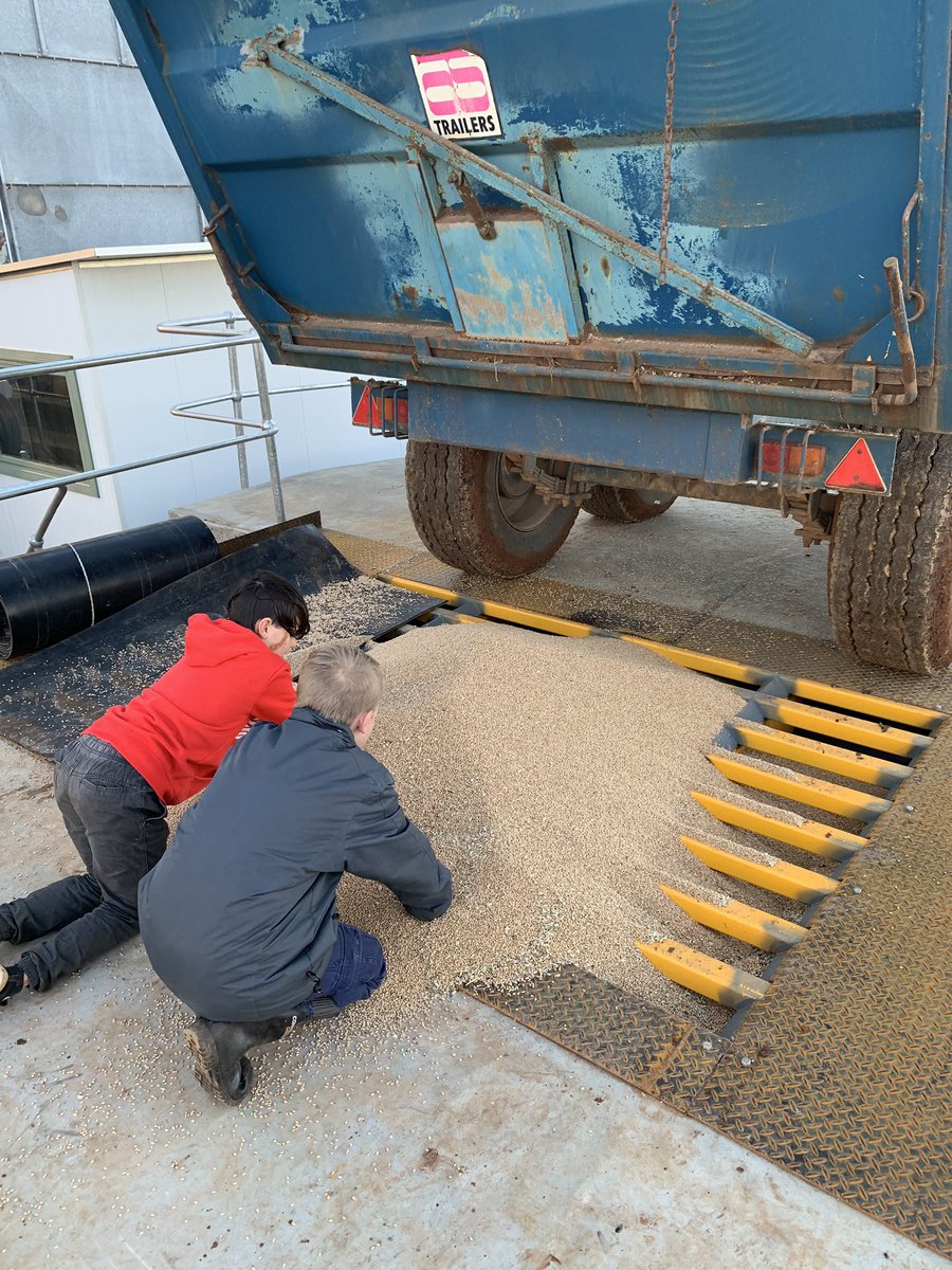 A project myself and the team has been working on, a new grain facility with dryer. Looking forward to grain harvest 2020