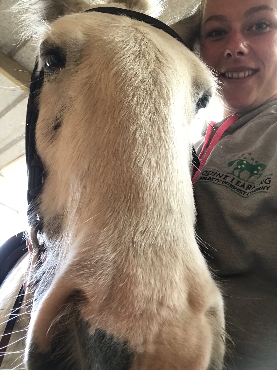 Carysclark2's tweet photo. Yesterday was fab at Equine Learning! 
Brill pony day and all the kids were superstar riders 🌟 #warwickshire #equinelearning #EQL #tommythecutie #equineblog https://t.co/BA0tDi88KR