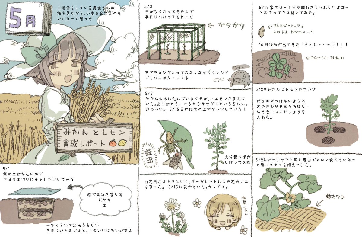 趣味の備忘録(5月) 