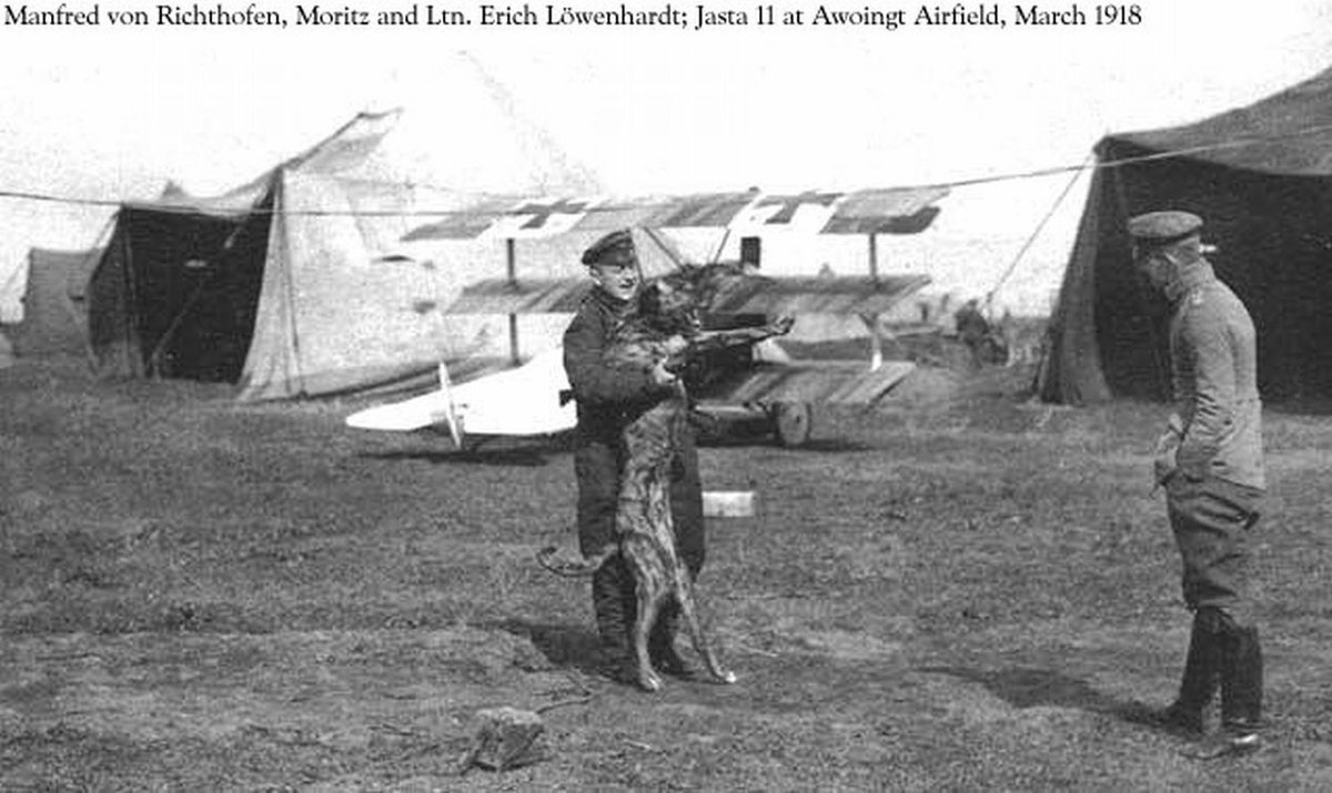 violetpilot1's tweet image. Moritz and Richthofen #TheRedBaron #FlyDog en.wikipedia.org/wiki/Manfred_v…