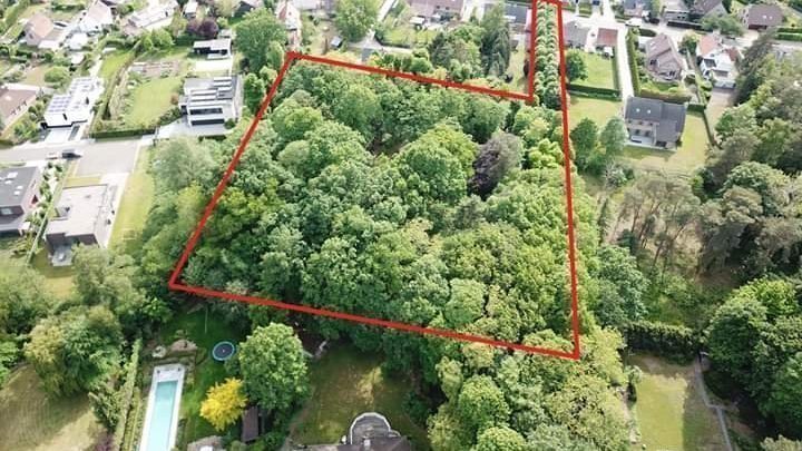 avstelevisie's tweet photo. Al bijna 2200 handtekeningen tegen de geplande kap van het Safaribos in Heusden Destelbergen https://t.co/nmuQFP8omp #woonproject #petitie #natuurbehoud https://t.co/o360pydeM6