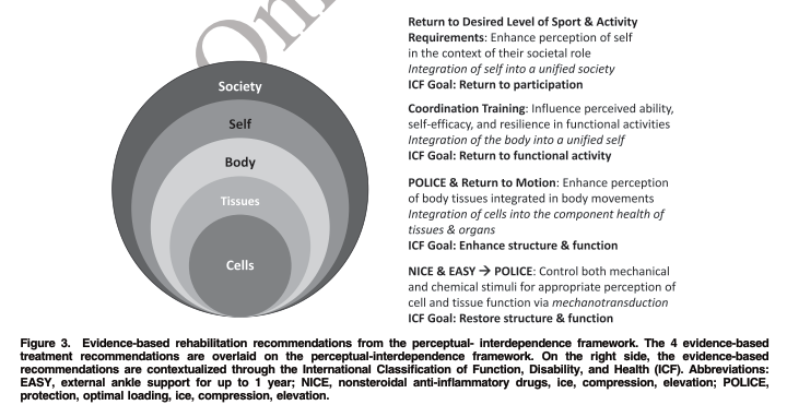 PhysioMeScience's tweet photo. A Perceptual Framework for Conservative Treatment and Rehabilitation of Ankle Sprains: An Evidence-Based Paradigm Shift.

🦶🦶🦶👇👇👇

https://t.co/XjV80iitK2 https://t.co/AkS9RcoNjW