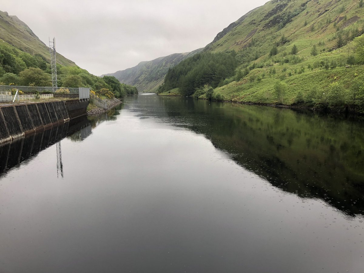 dmallace tweet media