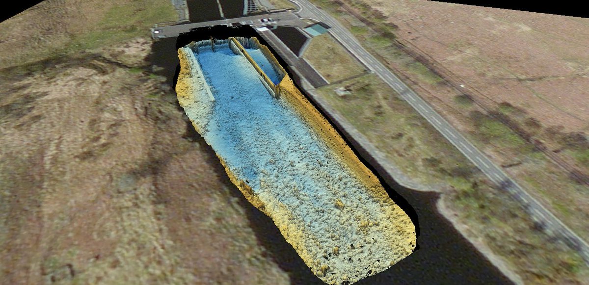 dmallace tweet media