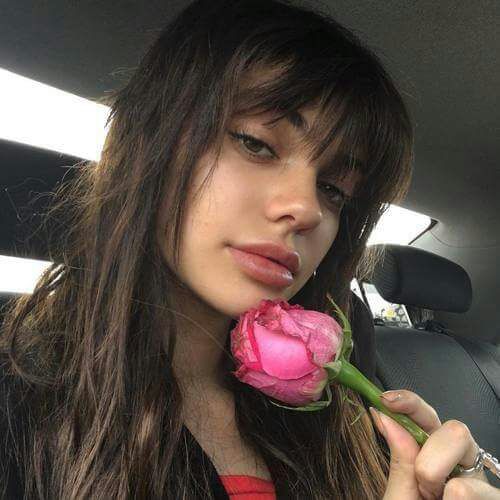 Ro774881's tweet photo. عاشقه الورد 💜🌸 https://t.co/0tUeveQ6bN