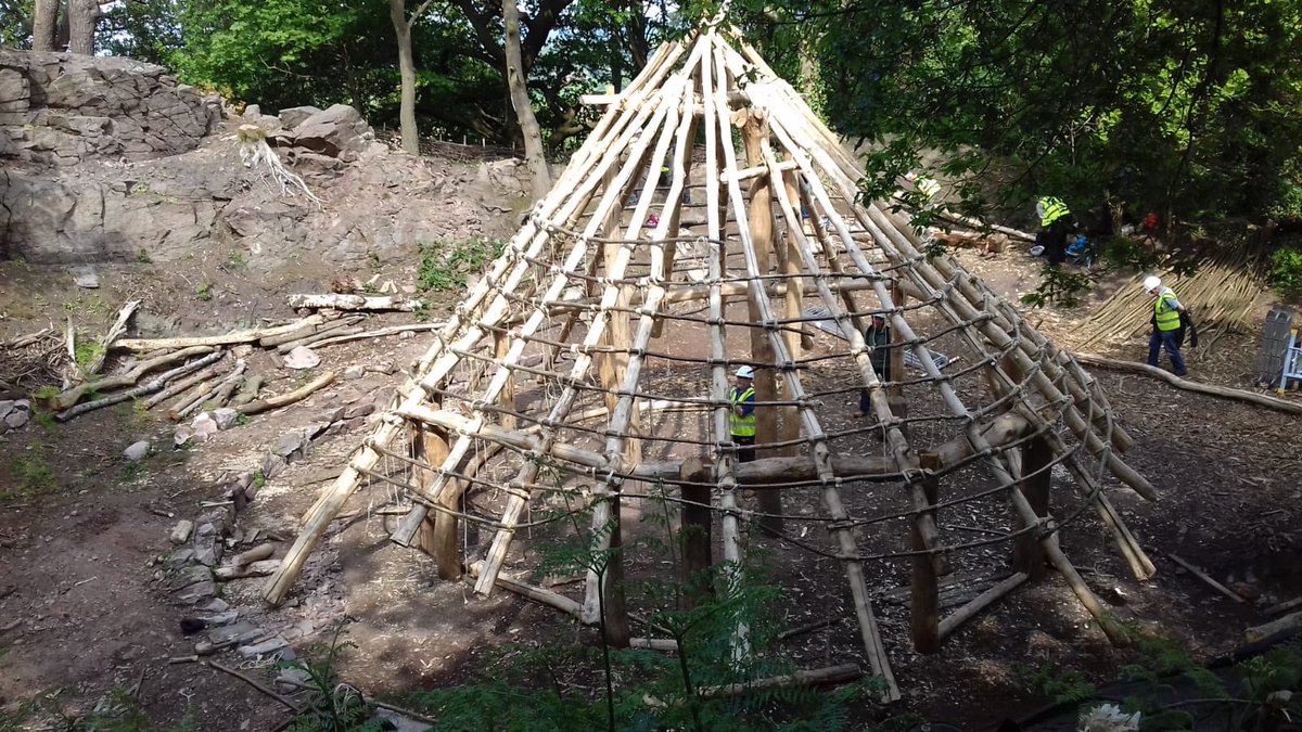 devabees's tweet image. Over the next 2 weeks there’ll be builders at Beeston Castle every week day finishing the roof structure and beginning the thatching of the roof. Come along and offer encouragement
