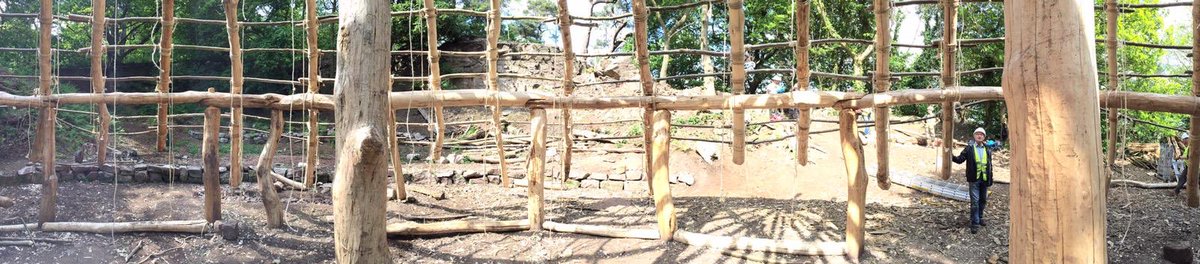 devabees's tweet image. Over the next 2 weeks there’ll be builders at Beeston Castle every week day finishing the roof structure and beginning the thatching of the roof. Come along and offer encouragement