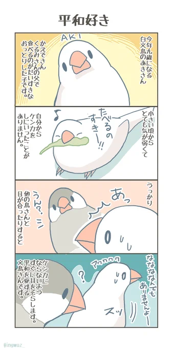 平和好き。

#buncho #javasparrow #文鳥 