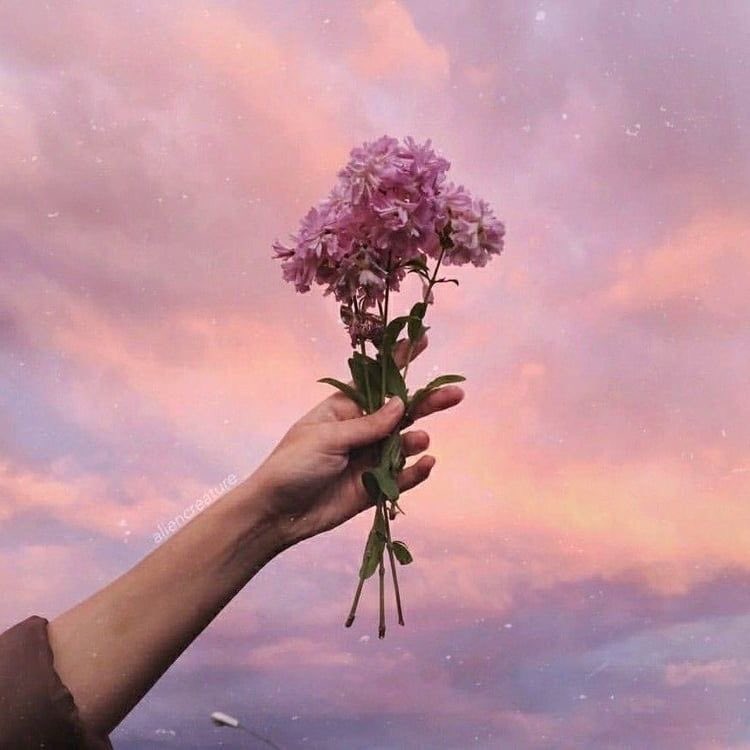 ; 103% tweet media