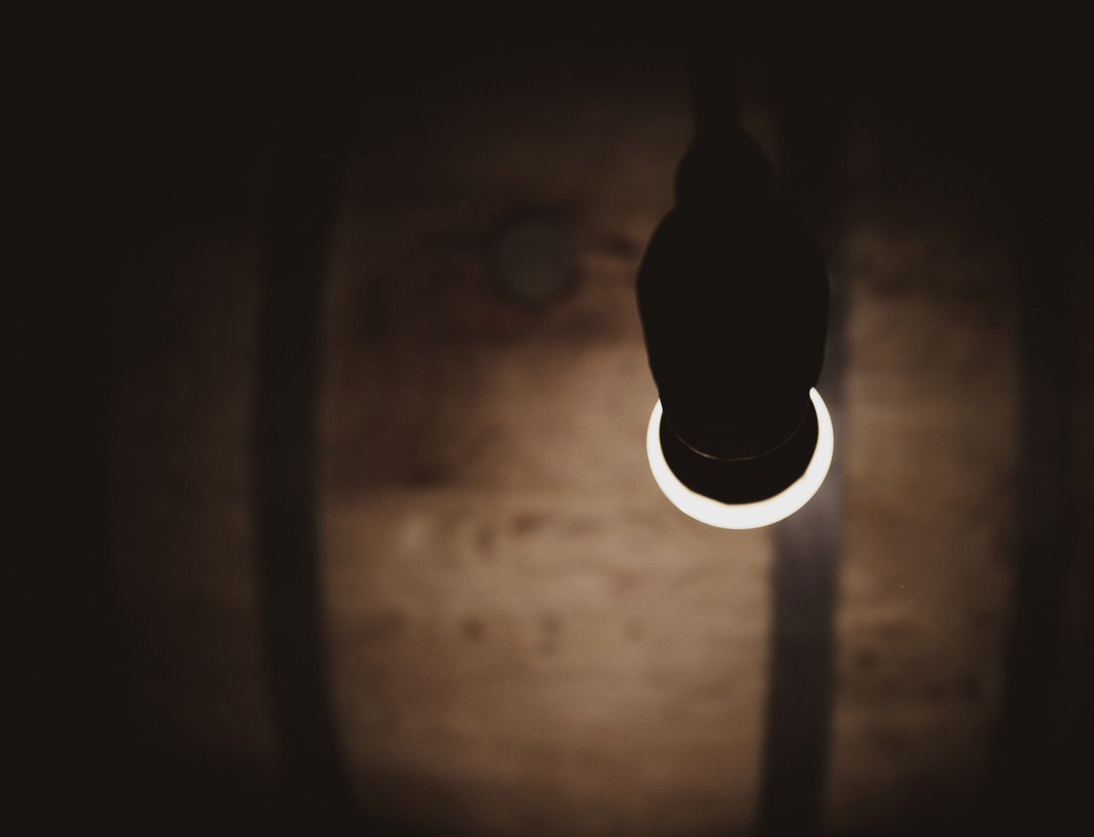 Després de cada verema decidim quin material utilitzarem per a la criança dels nostres vins.  Aquests són alguns dels racons i materials del nostre celler.🖤 #organicwine #Priorat #cellar