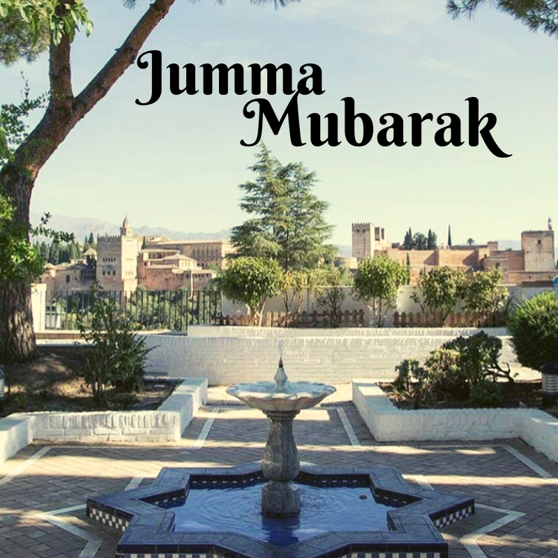 IlimTour's tweet photo. With the view of Alhambra from the great mosque of Granada, we wish everyone Jumma Mubarak!

#jummamubarak #alhambra #mezquitadegranada #andalus #mosqueofgranada #albaizin

image credited to @salman.wanders https://t.co/NMZeoTDCpv