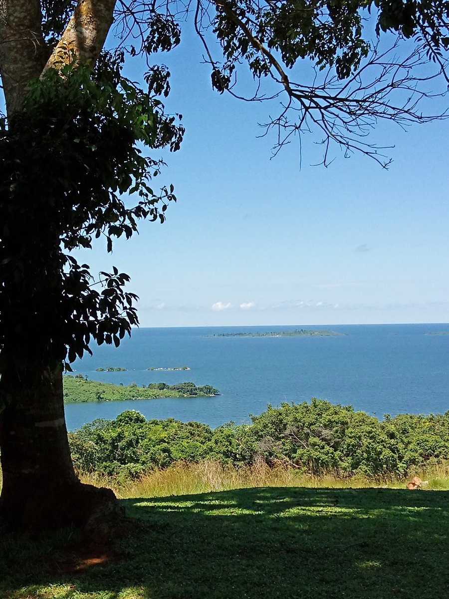 fullhundredug's tweet image. #thefullhundred team went ahead to taste the food, do a test-run of the activities and get ready to welcome you.

Here's another sneak peak!

Please be at the departure (Game Lugogo) point by 2:30pm PROMPT.

#GetawayWeekend #men #mentors