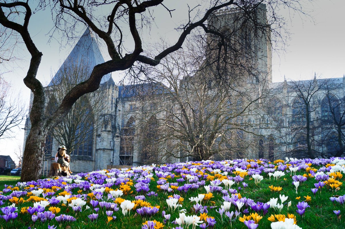 bplusbyork's tweet photo. The exciting BloomYork festival is coming back for a second year. This time over one weekend in June, you'll be able to visit the festival's garden in Dean's Park, behind York Minster. Find out how you can get involved and plan your stay #OnlyInYork

… https://t.co/84dlpLmtj4
