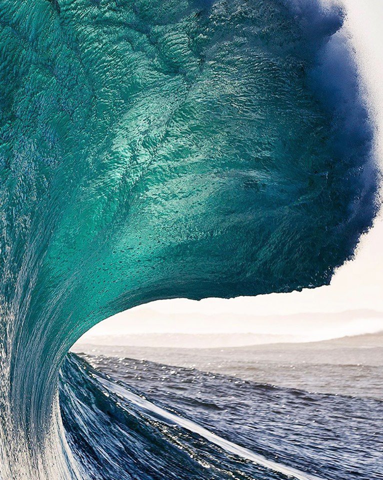 The Surf Channel tweet media