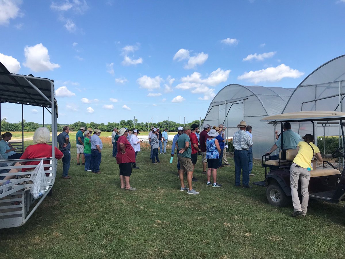 MSUPlantMan's tweet photo. Growers learning about high tunnel production at Vegetable Field Day at Verona. https://t.co/wCfqQNka7r