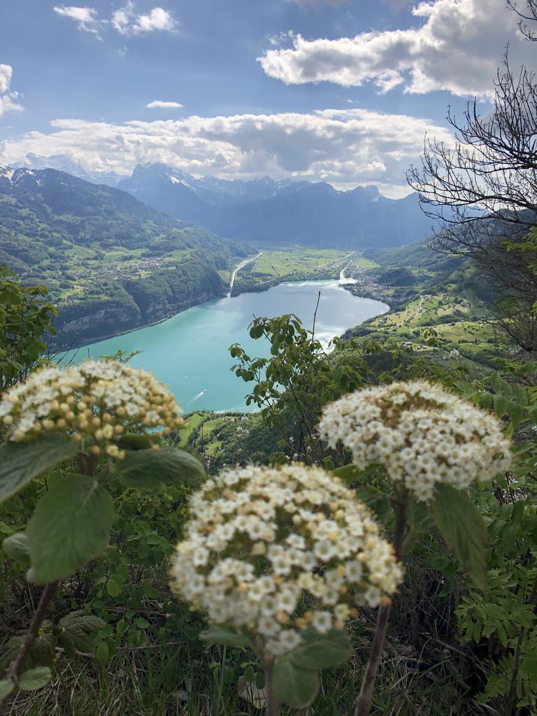 photosocool's tweet photo. ITAP a picture with the iphone X + wide angle lens from high above a lake in switzerland https://t.co/Vx6zPBUidN