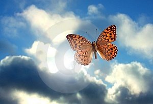 lucablanco73's tweet photo. 🎵sE Ve LO sENTiTE
DitE DitE
DiTe pUrE
NN BBiAte pAuRA
NeSsUNA PAurA
DiTELo PUrE
cHE sON CELesTiALE
UN po' BEStiALE
cHE sON uN Po' BeNE
cHE sON uN Po' MALe
MA cHE sON CeLeStiALe
M'HAN DAto ANCHEe LA MAGlieTTA
DeL CELesTiALe
uN sEGNALe
cHE sON CeLesTiALe
ViAGGiO VeRSO #cELesTiALe https://t.co/oq8VF0zPeU