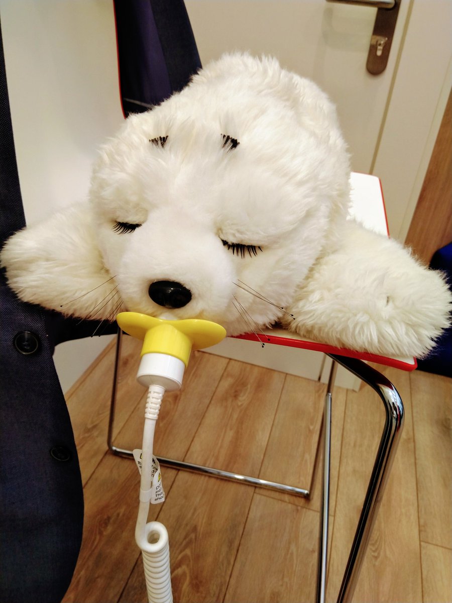 TobiasBuchwald's tweet image. Paro und Miss Pepper von der @FrankfurtUAS haben uns heute am Stand des @RegHessen Digitalministeriums besucht 😍 #VR