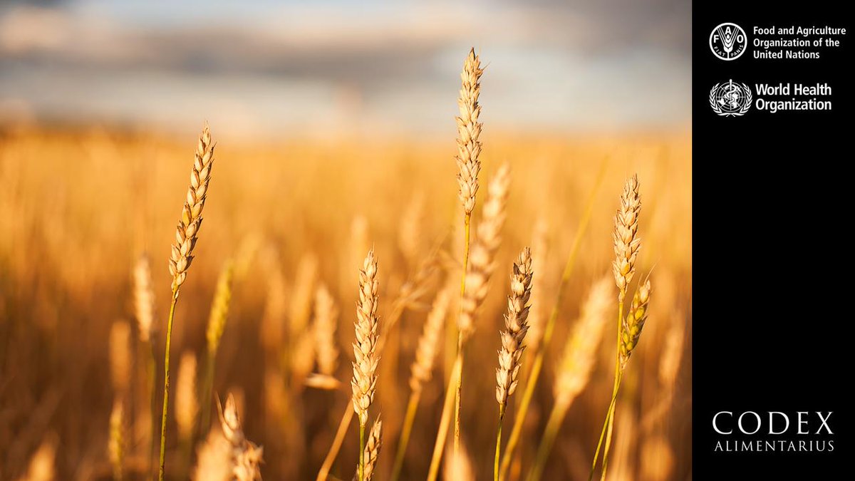 📙 | #CodexStandards | General Standard for Contaminants and #Toxins in Food and Feed 

➡️ ow.ly/k50I50utsJI

#FoodSafety #FoodTrade