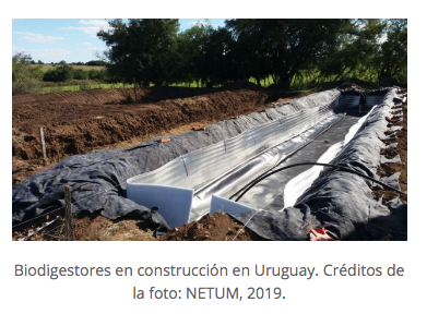 IncubadoraKHEM's tweet image. "Un proyecto de biodigestores para productores lecheros de pequeña escala está siendo desarrollado en San José/Uruguay" #Netum #incubadoKhem 

redbiolac.org/2019/05/biodig…