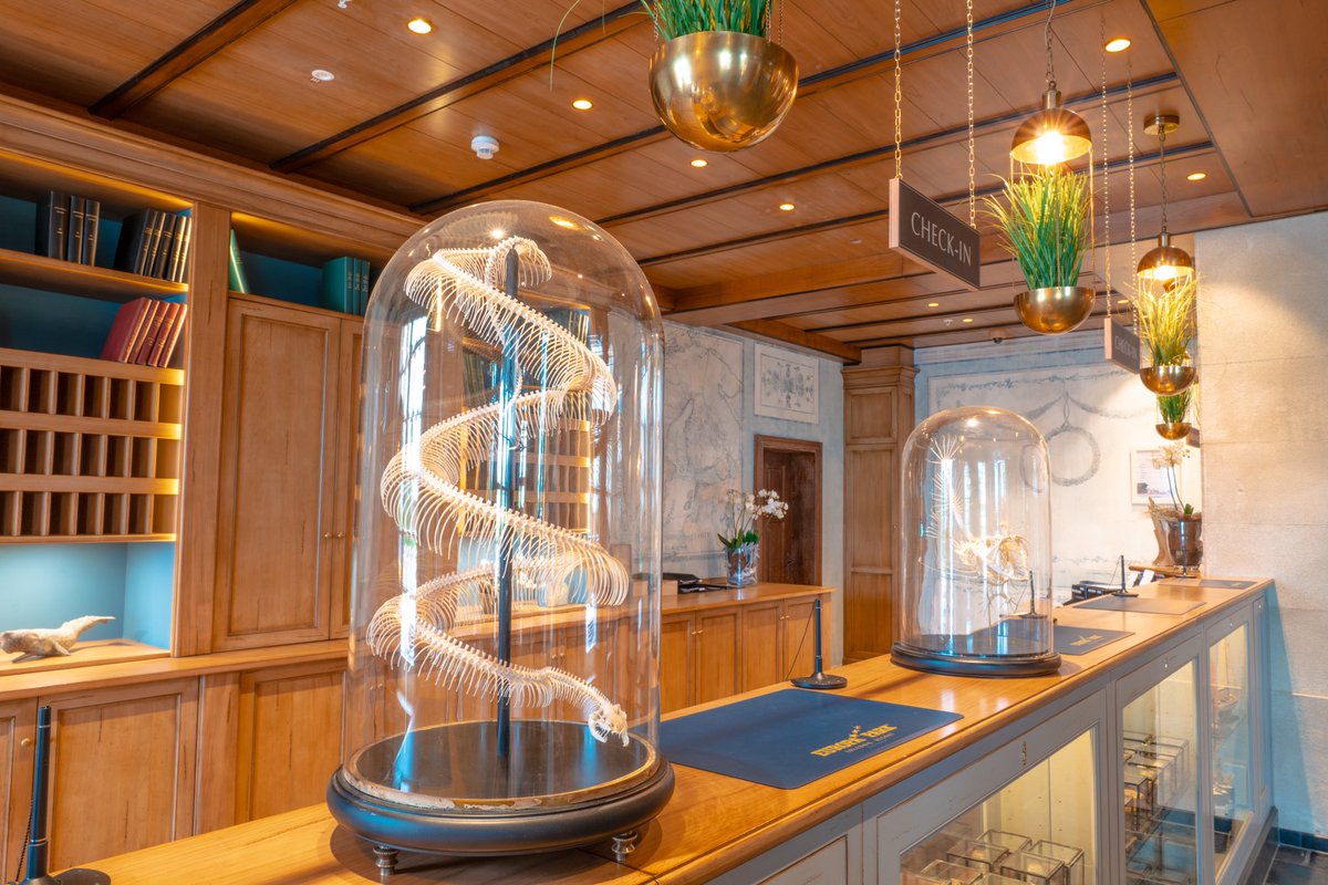 Patrick_vomBerg's tweet photo. Es war uns eine Ehre die offiziellen Bilder vom neuen #KrønasårHotel im #EuropaPark machen zu dürfen!!! 😍🛎 Ein Traum für jeden Hotelfotograf!!! Ich wünsch @ThomasMack_EP und seinem ganzen Team einen guten Start, viel Erfolg &amp; viele viele tolle Gäste!!!! 🥳🍾 https://t.co/W3WDVaFZo8
