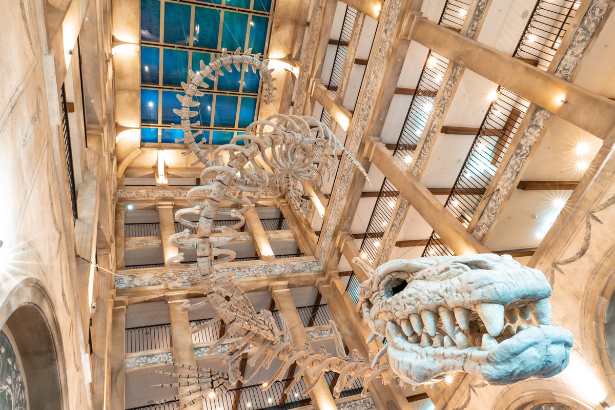 Patrick_vomBerg's tweet photo. Es war uns eine Ehre die offiziellen Bilder vom neuen #KrønasårHotel im #EuropaPark machen zu dürfen!!! 😍🛎 Ein Traum für jeden Hotelfotograf!!! Ich wünsch @ThomasMack_EP und seinem ganzen Team einen guten Start, viel Erfolg &amp; viele viele tolle Gäste!!!! 🥳🍾 https://t.co/W3WDVaFZo8