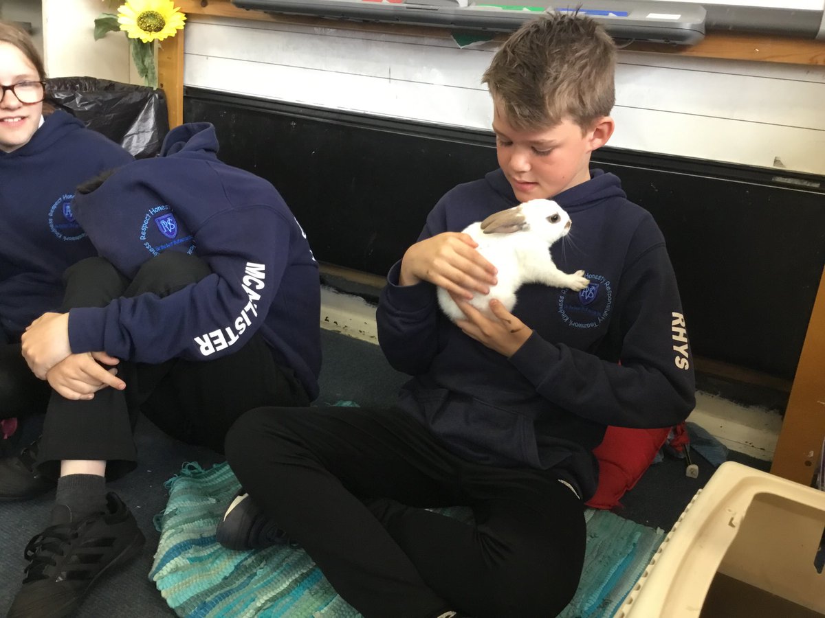 MissPerviz's tweet photo. Super talk from Kirkcaldy Pet Shop today. Ken chatted to P7 about the skills you need to work with animals. Thanks again Ken! ๐ ๐#perfectendtotheweek @ValleyPSKdy https://t.co/3iN0Q67xou