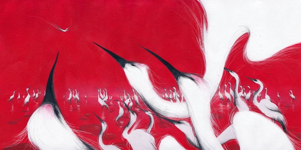 Half Three tweet media