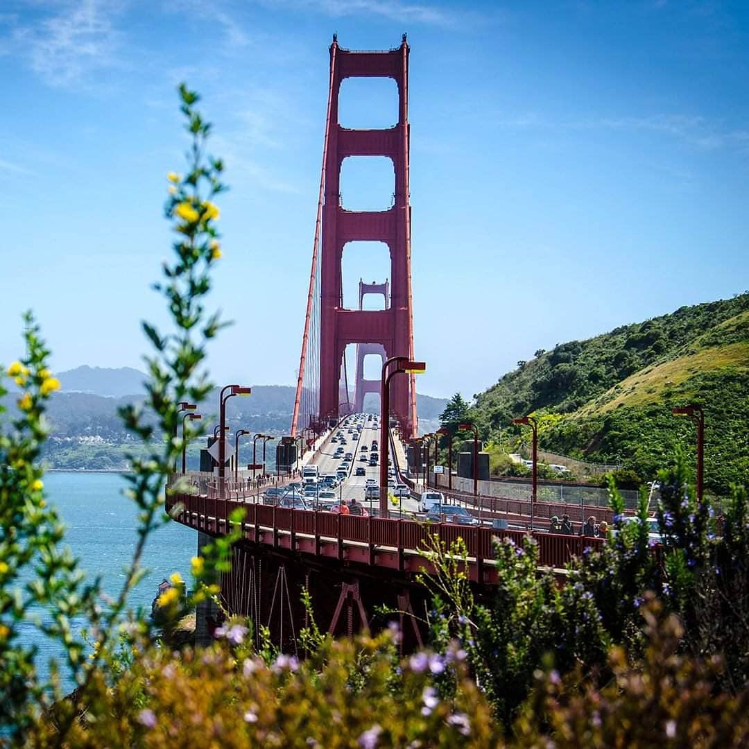 CheapiFlyFares's tweet image. Looking to escape this winter cold? We are currently offering HUGE discounts on regular fares to worldwide destinations. But please hurry; as this sale ends 5 Jun 2019 👉checkout.sabreexplore.com.au/searchAir.do #travel #australia #wanderlust #cheapflights