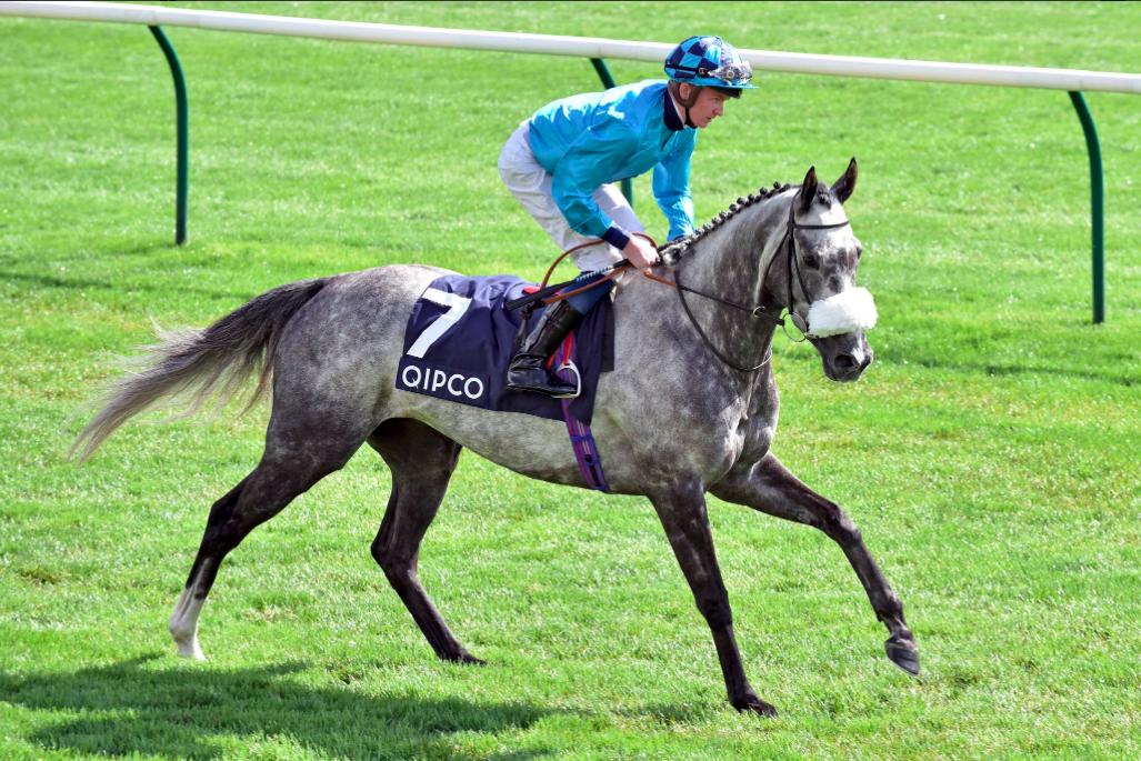 Horse Tracker @HorseTrackerTM  Twitter Horse Tracker @HorseTrackerTM  Twitter