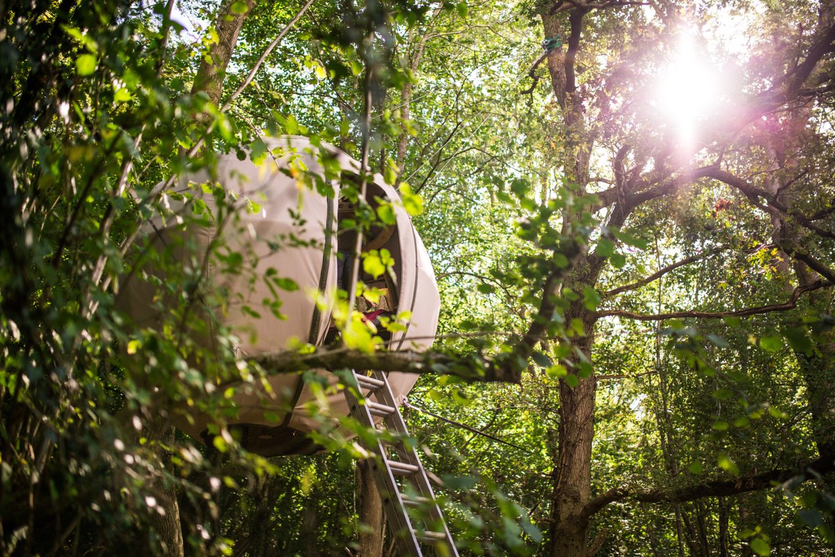TreeTents's tweet image. The air is better up here.

#escape #treetent #ecotravel #unique #glamping #glampingpod #treehouse