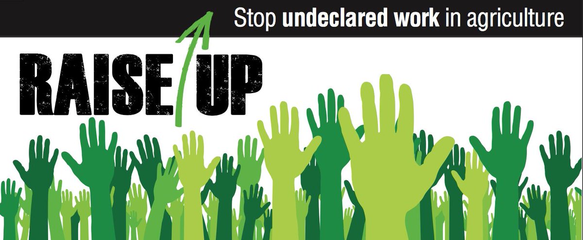 RaiseUpEu's tweet photo. RAISE UP! зКурс - https://t.co/9WGhFjHiHA https://t.co/UYnMWYsSqd