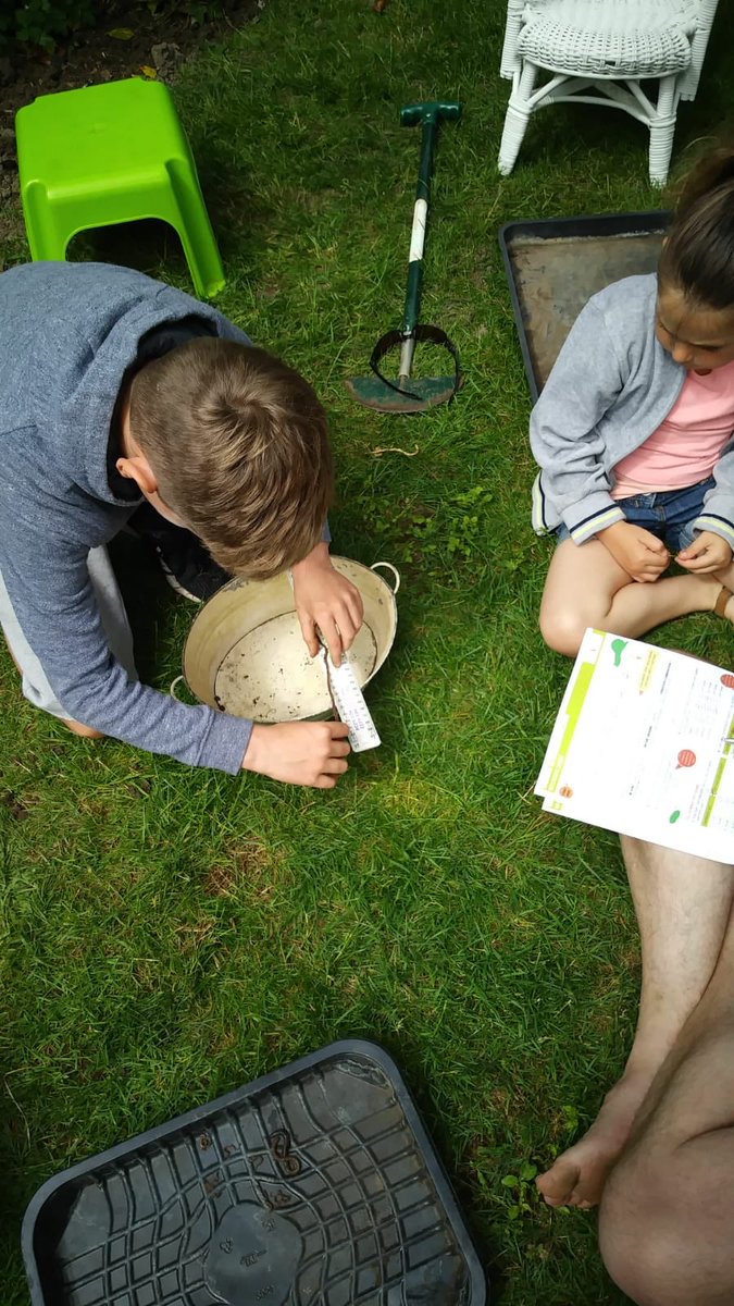 AdamHenderson02's tweet photo. ⁦@BBCSpringwatch⁩ last nights programme inspired these 2 to become worm detectives today 😀#Gardenwatch https://t.co/fEECpz79Wj