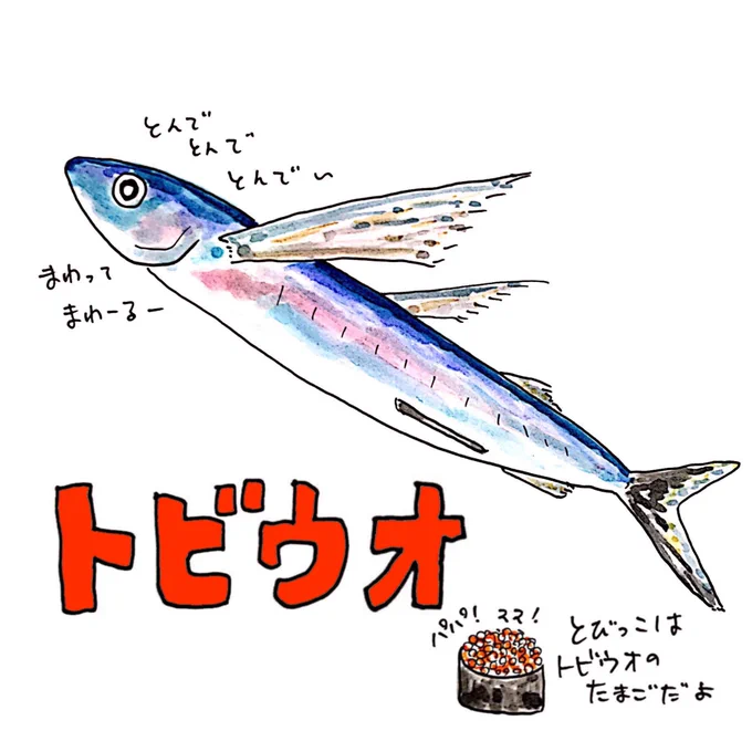 [いきものレッスン?]

今週テーマ『#トビウオ』
ぴょーーんと一飛び400m‼️
滞空時間は42秒⏳

宿題レッスン☑︎
『トビウオの卵は〇〇〇〇という名前でみんな食べてるよ!』
ヒント: しーすーに…?

答え分かった!と言うあなたは
こちらから回答してね???‍♂️#うおにい
https://t.co/0h9wuyM4VH 