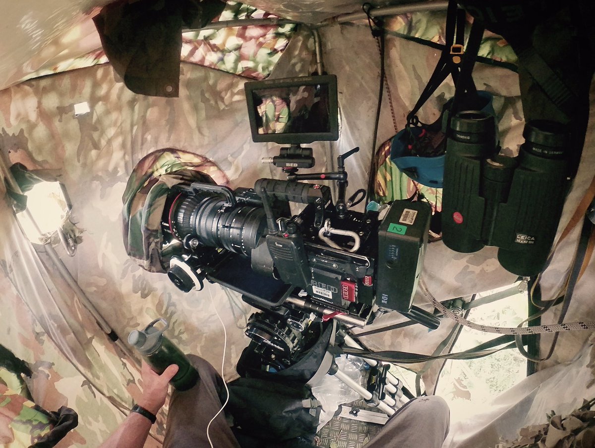 A snapshot of life in my canopy filming hide. A small camouflaged canvas tent perched atop a metal platform 100 feet up in a tree in the Amazon. Gets hot and stuffy in the tropical heat, but it's worth it when you get to film rare and beautiful animal behaviour. #BBC #Primates