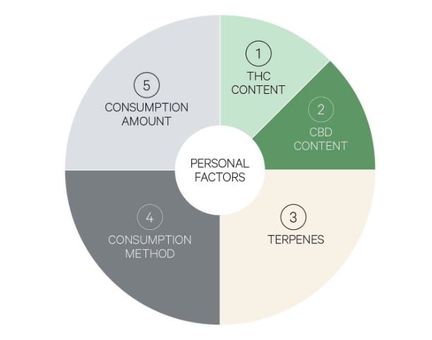 Ontario Cannabis Store tweet media